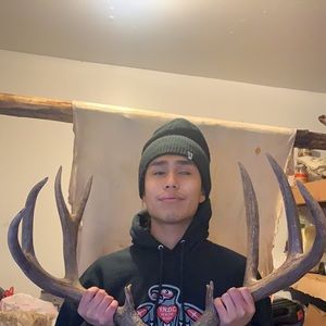 Meet your Posher, Hampton